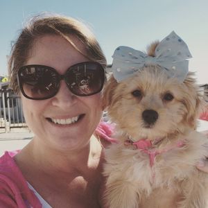 Meet your Posher, Deann